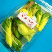 岡山　早島　外壁塗装　屋根塗装　リフォーム　にこぺいんと　